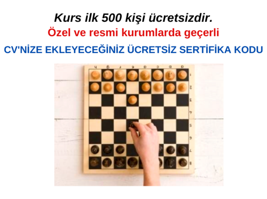 Satranç Eğitimi img