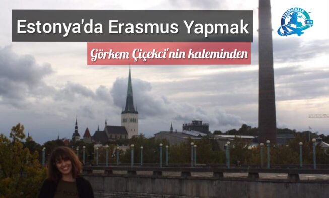 Estonya’da Erasmus Yapmak img