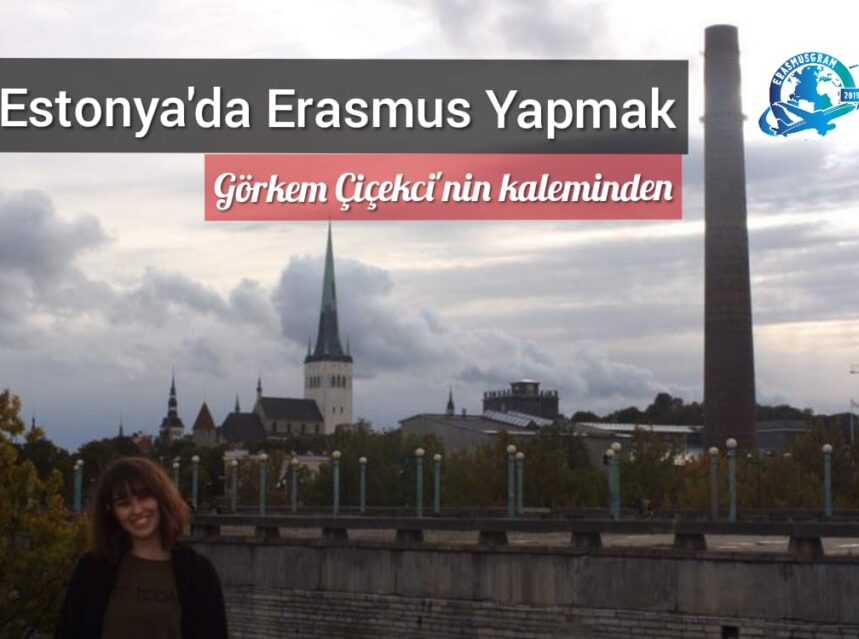 Estonya’da Erasmus Yapmak img