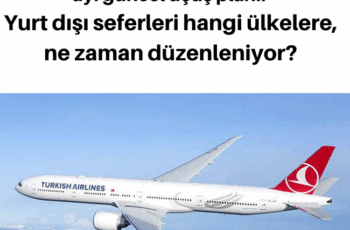 THY’nın temmuz ayı güncel uçuş planı: Yurt dışı seferleri hangi ülkelere, ne zaman düzenleniyor? THY’nın temmuz ayı güncel uçuş planı: Yurt dışı seferleri hangi ülkelere, ne zaman düzenleniyor?