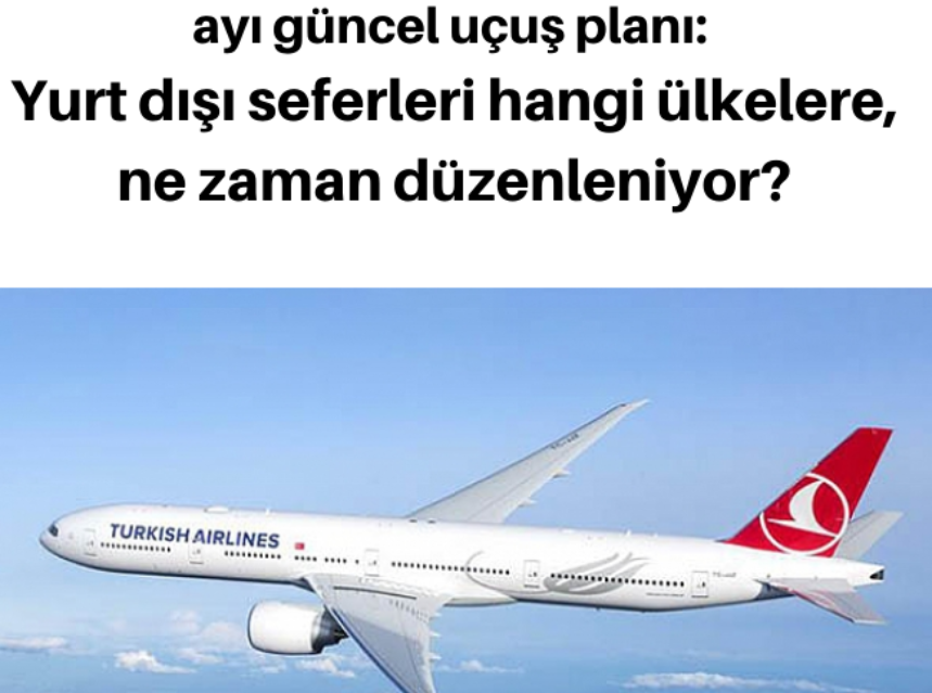 THY’nın temmuz ayı güncel uçuş planı: Yurt dışı seferleri hangi ülkelere, ne zaman düzenleniyor? img