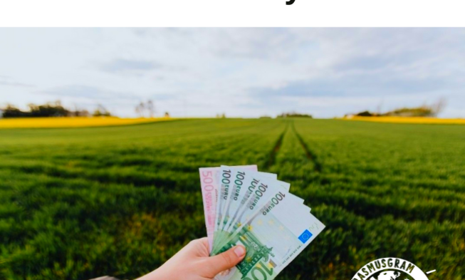 Seyahat ederken para kazanmanın yolları img