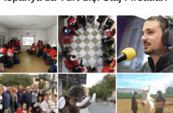 İspanya’da Yurt dışı Staj Fırsatları