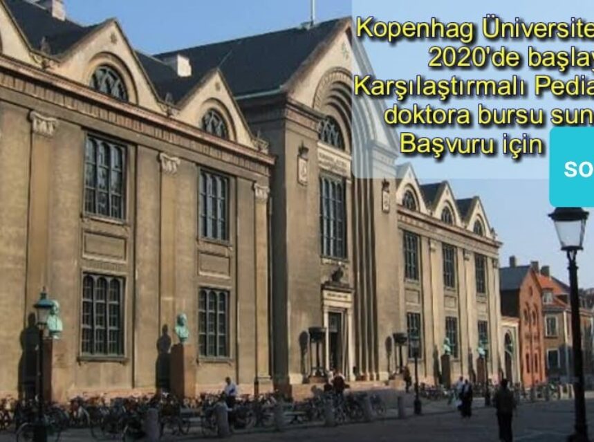 Veteriner ve Hayvan Bilimleri Bölümü Karşılaştırmalı Pediatri Doktora Bursu img