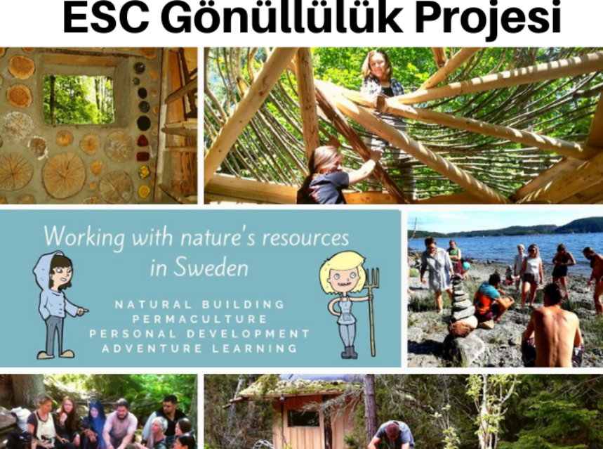 İSVEÇ / Hastekasen ‘de ESC Gönüllülük Projesi img