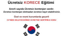 Korece Eğitimi – Ücretsiz ve Türkçe Anlatım