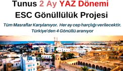 TUNUS 2 ay ESC Gönüllülük Projesi