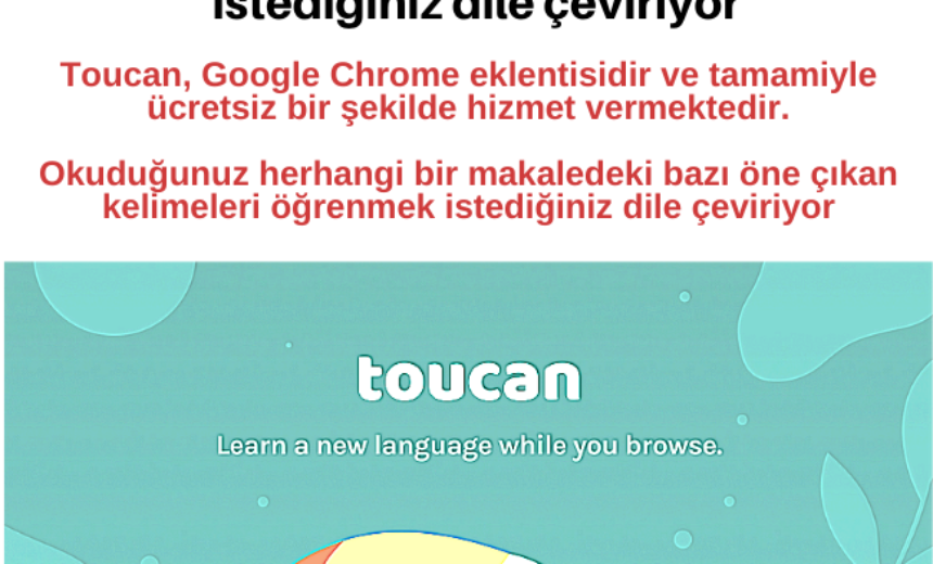 Toucan Eklentisi: Okuduğunuz yazı içerisinde bilmediğiniz kelimeleri öğretiyor img