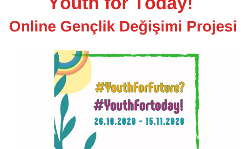 Youth for Future? Youth for Today! Online Gençlik Değişimi Projesi img