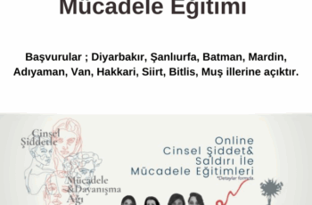 Cinsel Şiddet ve Saldırı ile Mücadele Eğitimi Cinsel Şiddet ve Saldırı ile Mücadele Eğitimi