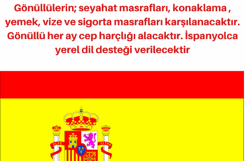 İspanya’da 2 ay Gönüllülük Fırsatı