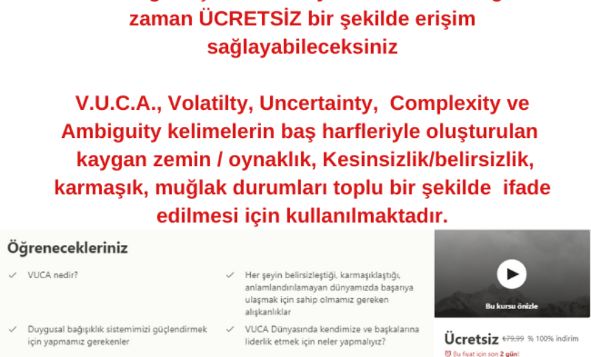 VUCA Dünyasında Liderlik Kursu img