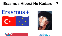 Erasmus Nedir ? Erasmus ismi nereden geliyor ? Erasmus Hibesi Ne Kadardır ? Erasmus Nedir ? Erasmus ismi nereden geliyor ? Erasmus Hibesi Ne Kadardır ?