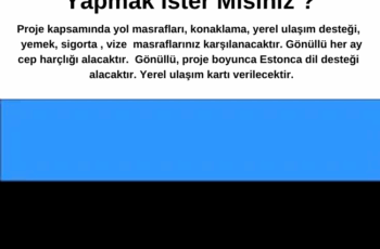 Estonya’da 11 Ay Gönüllülük Yapmak İster Misiniz ? Tüm Masraflar Karşılanıyor