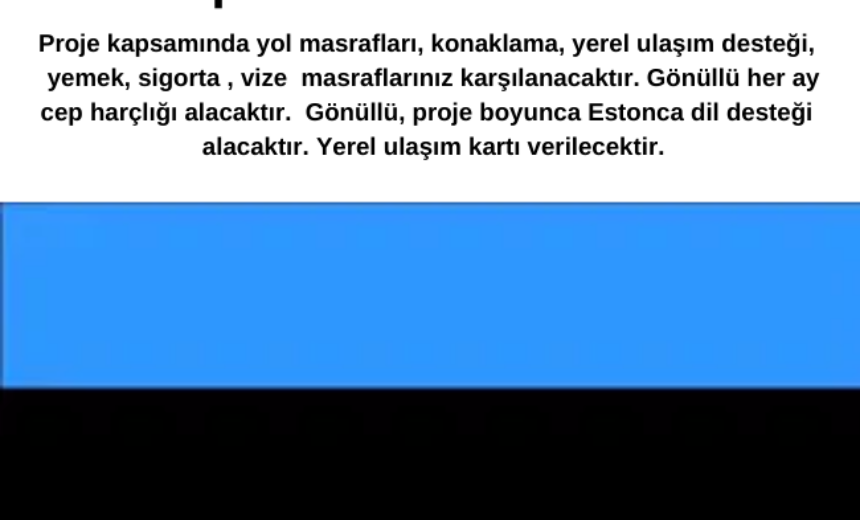 Estonya’da 11 Ay Gönüllülük Yapmak İster Misiniz ? Tüm Masraflar Karşılanıyor img