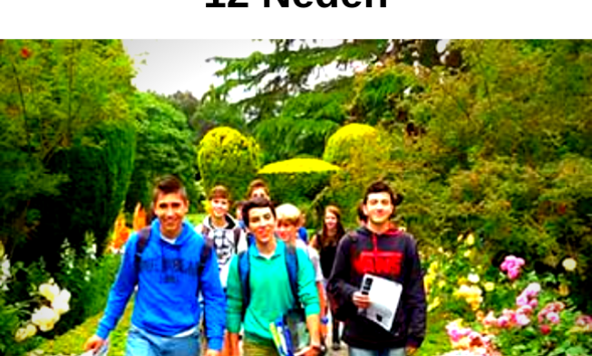 İrlanda’da Dil Öğrenmek için 12 Neden img