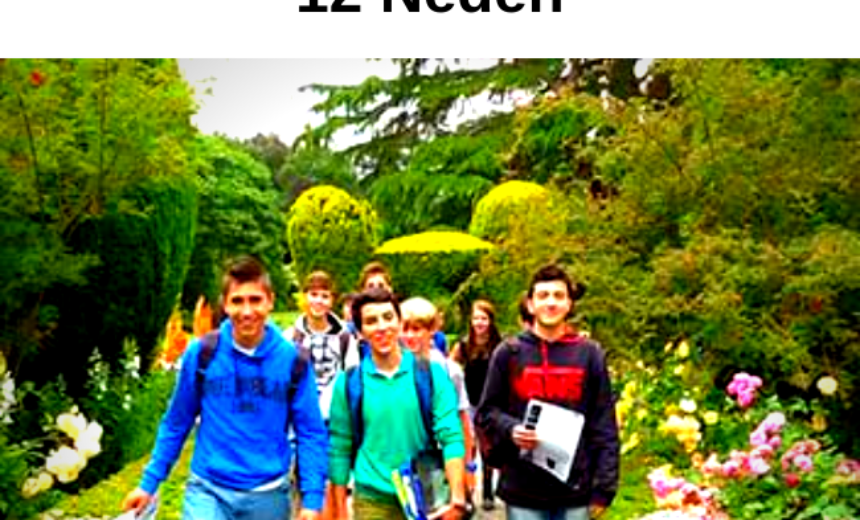 İrlanda’da Dil Öğrenmek için 12 Neden img