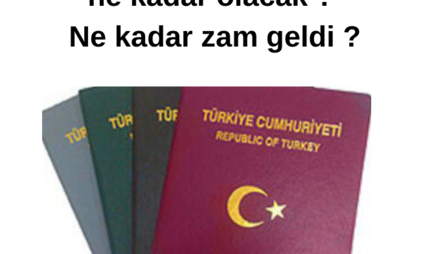 Pasaport 2021 ücreti ne kadar olacak ? Ne kadar zam geldi ? img