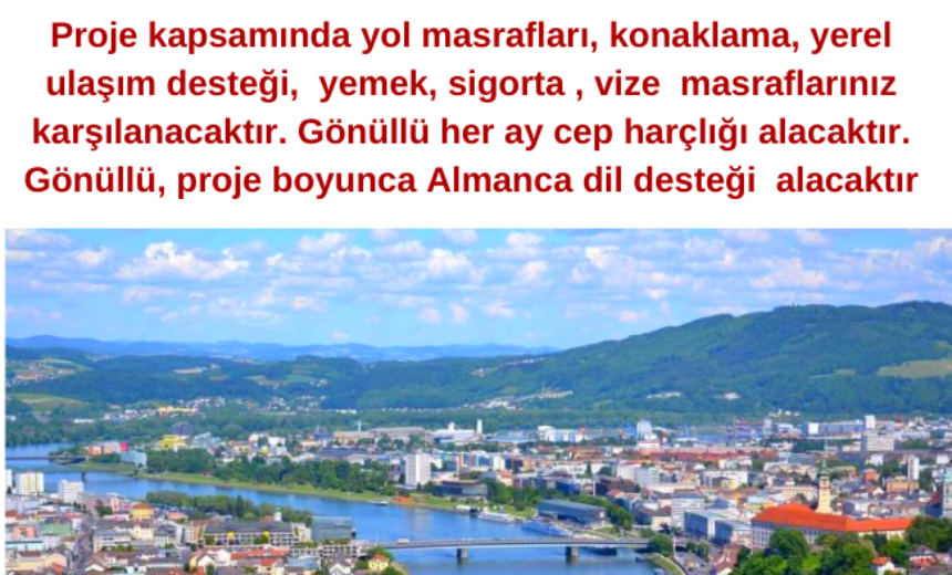 Avusturya / Linz şehrinde Gönüllü olmak ister misiniz ? img