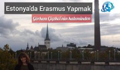 Estonya’da Erasmus Yapmak Estonya’da Erasmus Yapmak