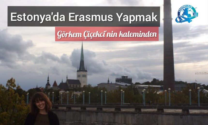 Estonya’da Erasmus Yapmak img