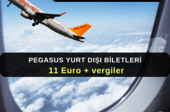 Pegasus Kampanyası |  Yurt dışı sadece 11 € + vergilerle!