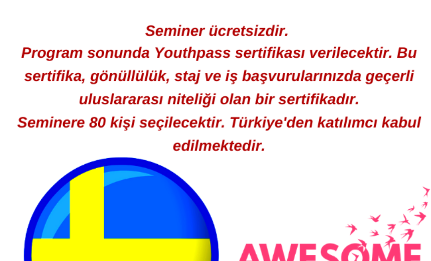İsveç , Sosyal Girişimcilik Uluslararası Online Konferansı img
