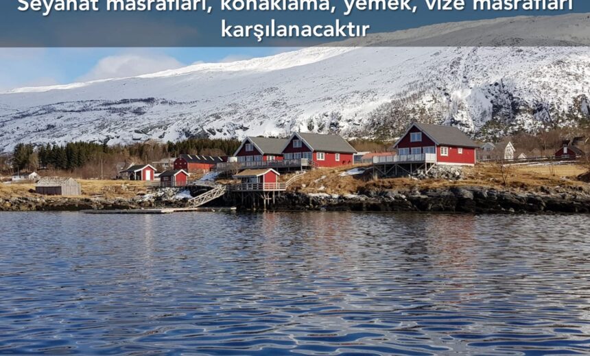 Norveç 12 Ay Gönüllülük Projesi img