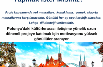 Polonya 9 Ay Gönüllülük Projesi