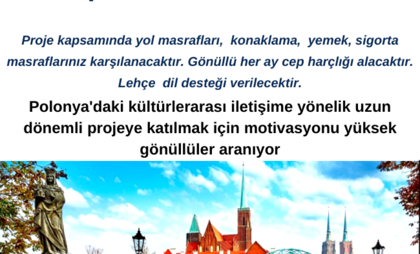 Polonya 9 Ay Gönüllülük Projesi img