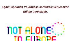 “The Not Alone in Europe” Projesi Katılımcılarını Arıyor “The Not Alone in Europe” Projesi Katılımcılarını Arıyor