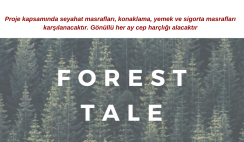 Bulgaristan 2 Ay Gönüllülük Projesi – 19 Mart / 17 Mayıs