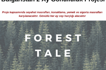 Bulgaristan 2 Ay Gönüllülük Projesi – 19 Mart / 17 Mayıs