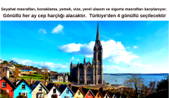 İrlanda Gönüllülük Projesi