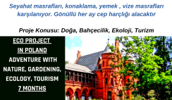 Polonya 7 Ay Gönüllülük Projesi