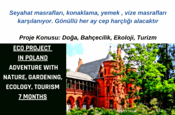 Polonya 7 Ay Gönüllülük Projesi