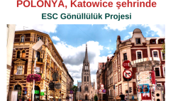 Polonya’da Katowice şehrinde Gönüllülük Projesi Polonya’da Katowice şehrinde Gönüllülük Projesi
