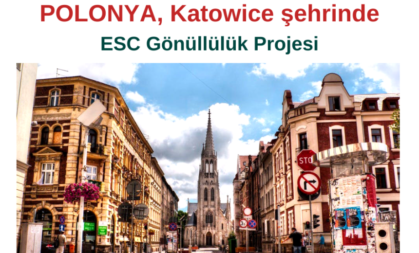 Polonya’da Katowice şehrinde Gönüllülük Projesi img