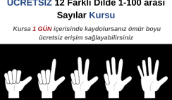 12 farklı dilde 1-100 arası sayılar Kursu
