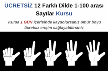 12 farklı dilde 1-100 arası sayılar Kursu