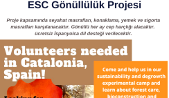 İspanya , Barselona’da Uzun Dönem Gönüllülük Projesi