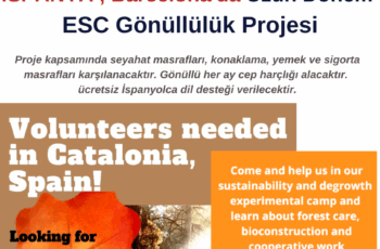 İspanya , Barselona’da Uzun Dönem Gönüllülük Projesi