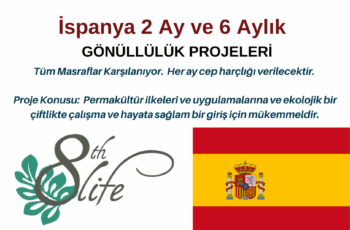 İspanya 2 Ay ve 6 Aylık Gönüllülük Projeleri