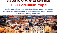 Avusturya 46 Hafta Gönüllülük Projesi