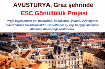 Avusturya 46 Hafta Gönüllülük Projesi