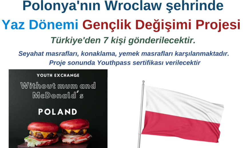 Polonya Yaz Dönemi Gençlik Değişimi Projesi img