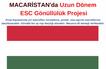 Macaristan uzun dönem Gönüllülük Projesi