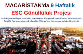 Macaristan 9 Hafta Gönüllülük Projesi