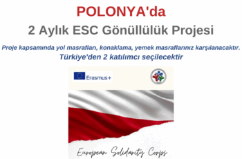 Polonya 2 Ay ESC Gönüllülük Projesi Polonya 2 Ay ESC Gönüllülük Projesi
