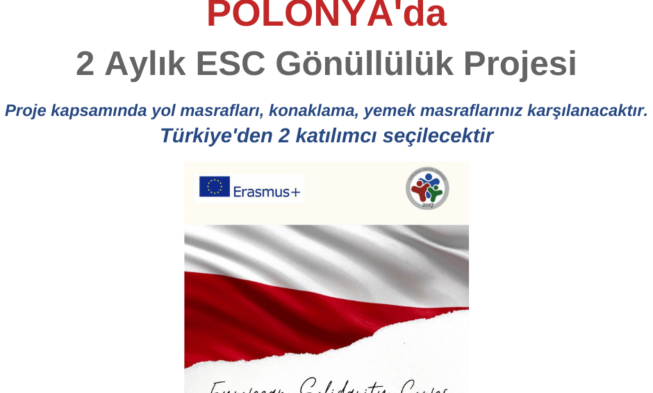Polonya 2 Ay ESC Gönüllülük Projesi img